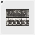 1-54_Eadweard-Muybridge_postcard