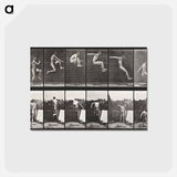 アートポストカード-Animal Locomotion
 - エドワード マイブリッジ Postcard.