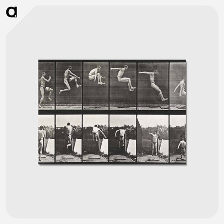 アートポストカード-Animal Locomotion
 - エドワード マイブリッジ Postcard.