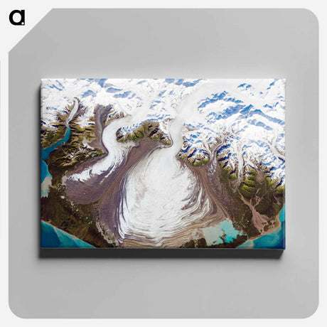 アートパネル-Malaspina Glacier, Alaska
 - 上空からの地球 Canvas.