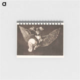 The Flying Folly (Give up the friend who hides you under his wings and bites you with his beak) - Francisco de Goya Memo.