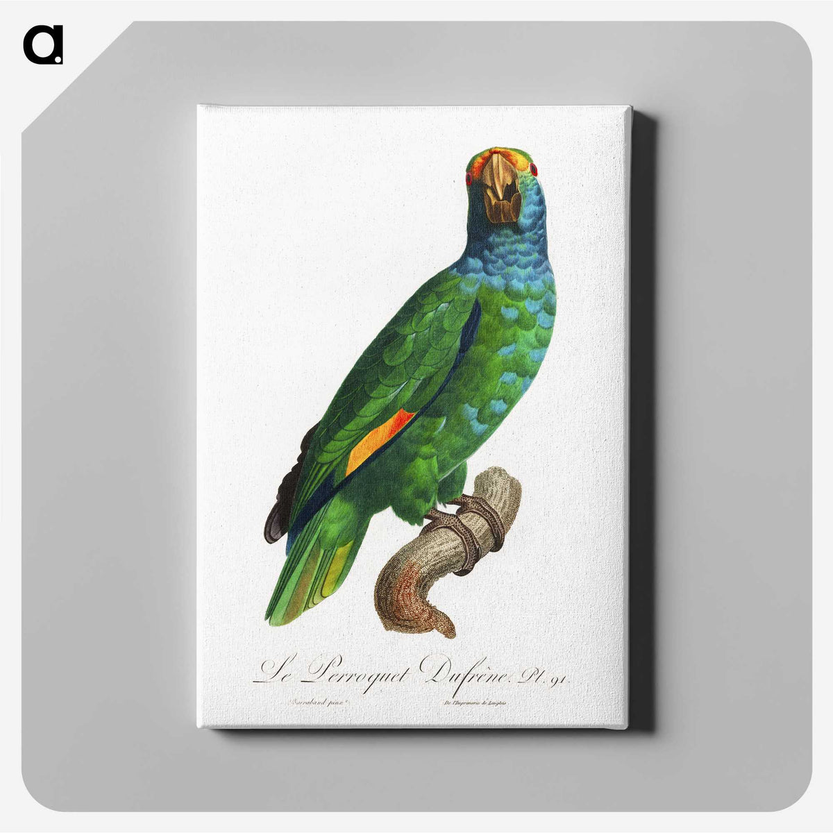 1-54_Francois-Levaillant_canvas