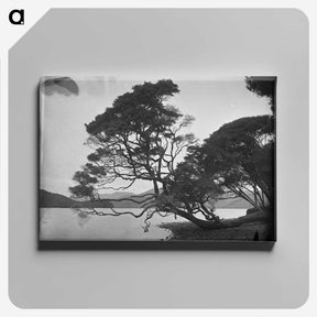 1-54_Frederick-Charles-Brockett_canvas