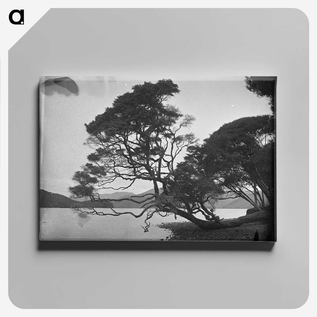 1-54_Frederick-Charles-Brockett_canvas
