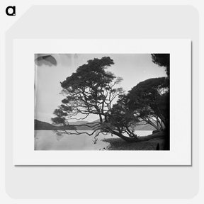 1-54_Frederick-Charles-Brockett_picture