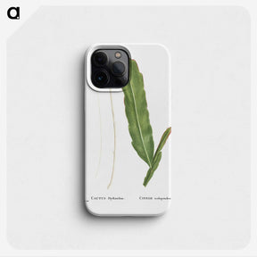 1-54_Histoire-des-Plantes-Grasses_phone