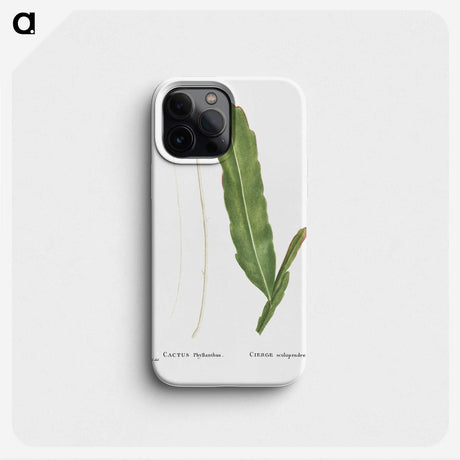 1-54_Histoire-des-Plantes-Grasses_phone