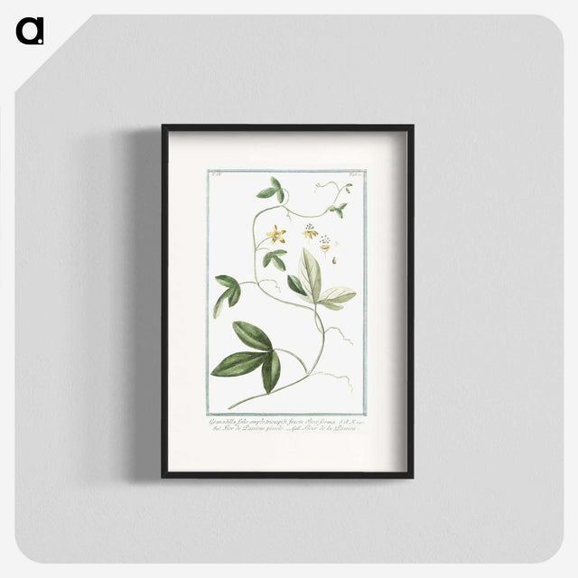 1-54_Hortus-Romanus-Botanical-Plates_blk