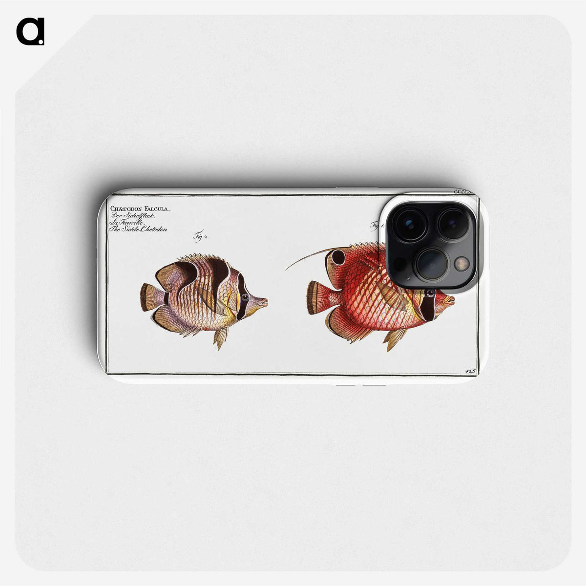 1-54_Ichtyologie-ou-Histoire-naturelle_phone