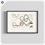 1-54_Indian-Zoology_blk