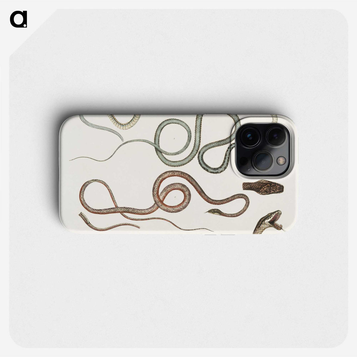 1-54_Indian-Zoology_phone