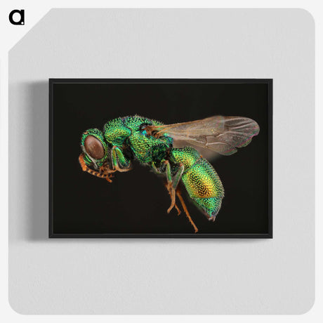 1-54_Insects-Unlocked-Project_blk-crop