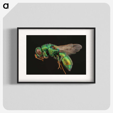 1-54_Insects-Unlocked-Project_blk