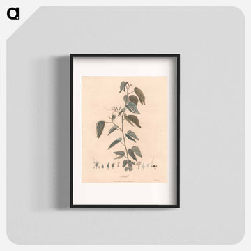 Farek
 - ジェームス ヒース Poster.