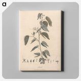1-54_James-Heath_canvas