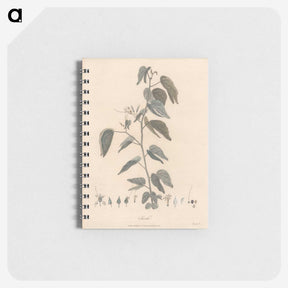 1-54_James-Heath_memo