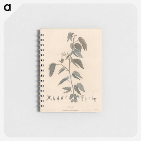 1-54_James-Heath_memo