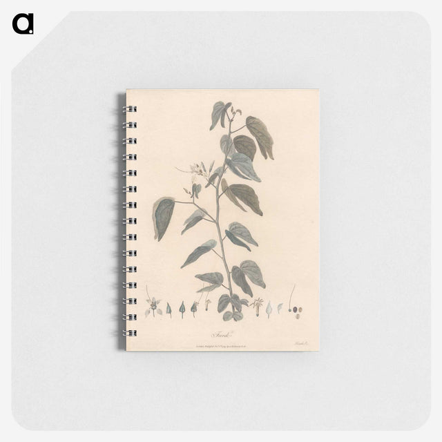 1-54_James-Heath_memo
