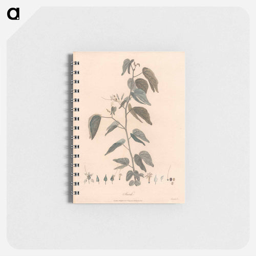 Farek
 - ジェームス ヒース Memo.