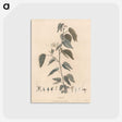1-54_James-Heath_postcard