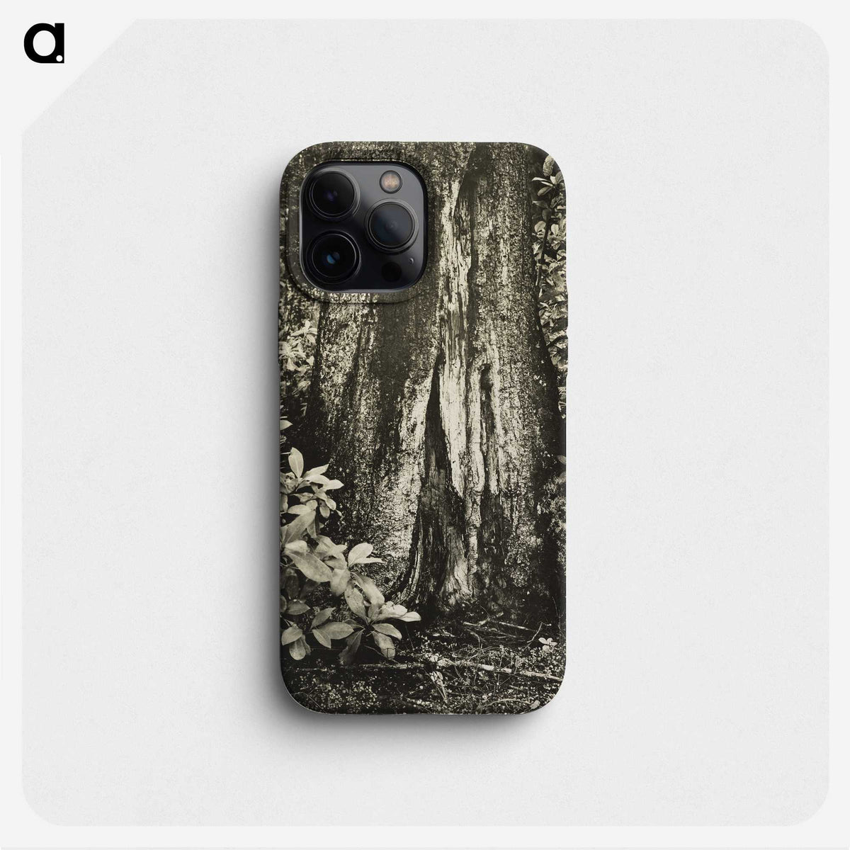 1-54_James-Walter-Chapman-Taylor_phone
