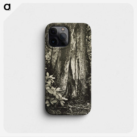 1-54_James-Walter-Chapman-Taylor_phone