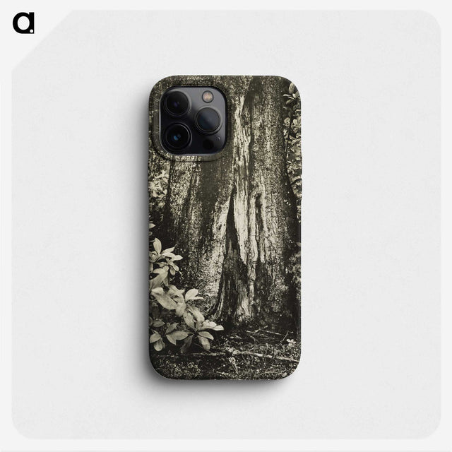 1-54_James-Walter-Chapman-Taylor_phone