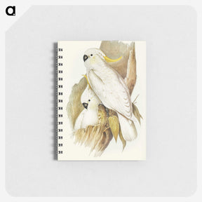 1-54_John-Gould_memo