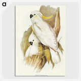 1-54_John-Gould_picture-crop