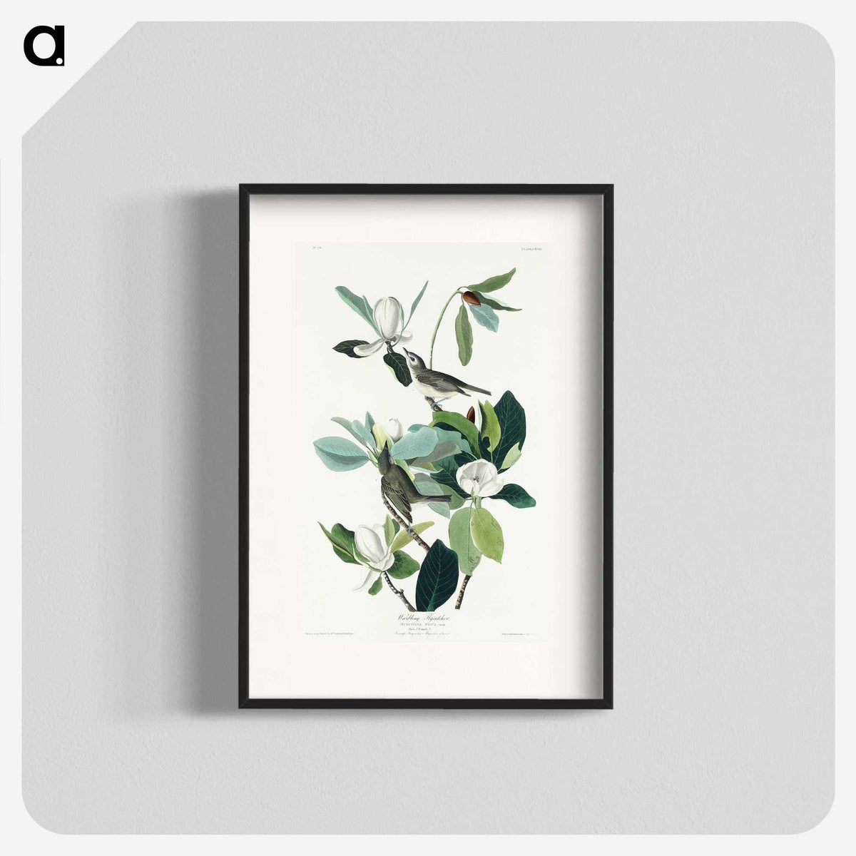 1-54_John-James-Audubon_blk