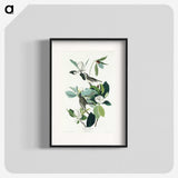 1-54_John-James-Audubon_blk