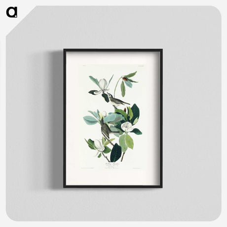 1-54_John-James-Audubon_blk