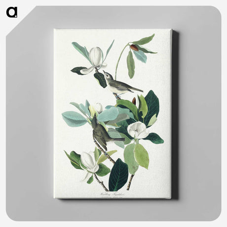 1-54_John-James-Audubon_canvas
