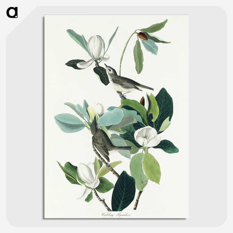 1-54_John-James-Audubon_picture-crop