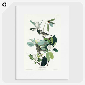 1-54_John-James-Audubon_picture