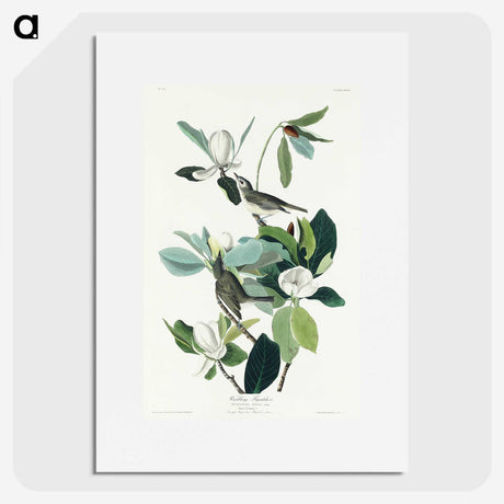 1-54_John-James-Audubon_picture