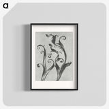 1-54_Karl-Blossfeldt_blk