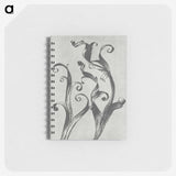 1-54_Karl-Blossfeldt_memo