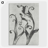 1-54_Karl-Blossfeldt_picture-crop