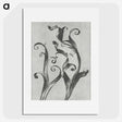 1-54_Karl-Blossfeldt_picture