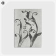 1-54_Karl-Blossfeldt_postcard