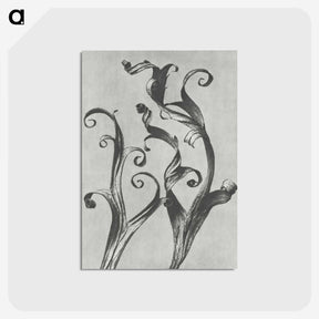 1-54_Karl-Blossfeldt_postcard