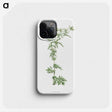 1-54_La-Botanique_phone