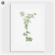 1-54_La-Botanique_picture