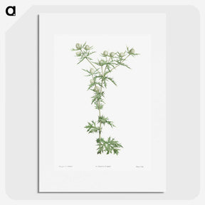 1-54_La-Botanique_picture