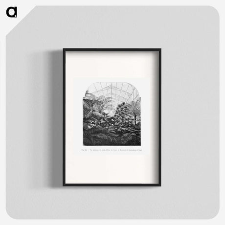 1-54_Les-Palmiers-Histoire-Iconographique_blk