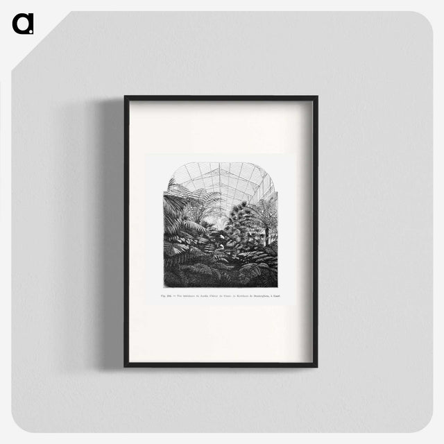 1-54_Les-Palmiers-Histoire-Iconographique_blk