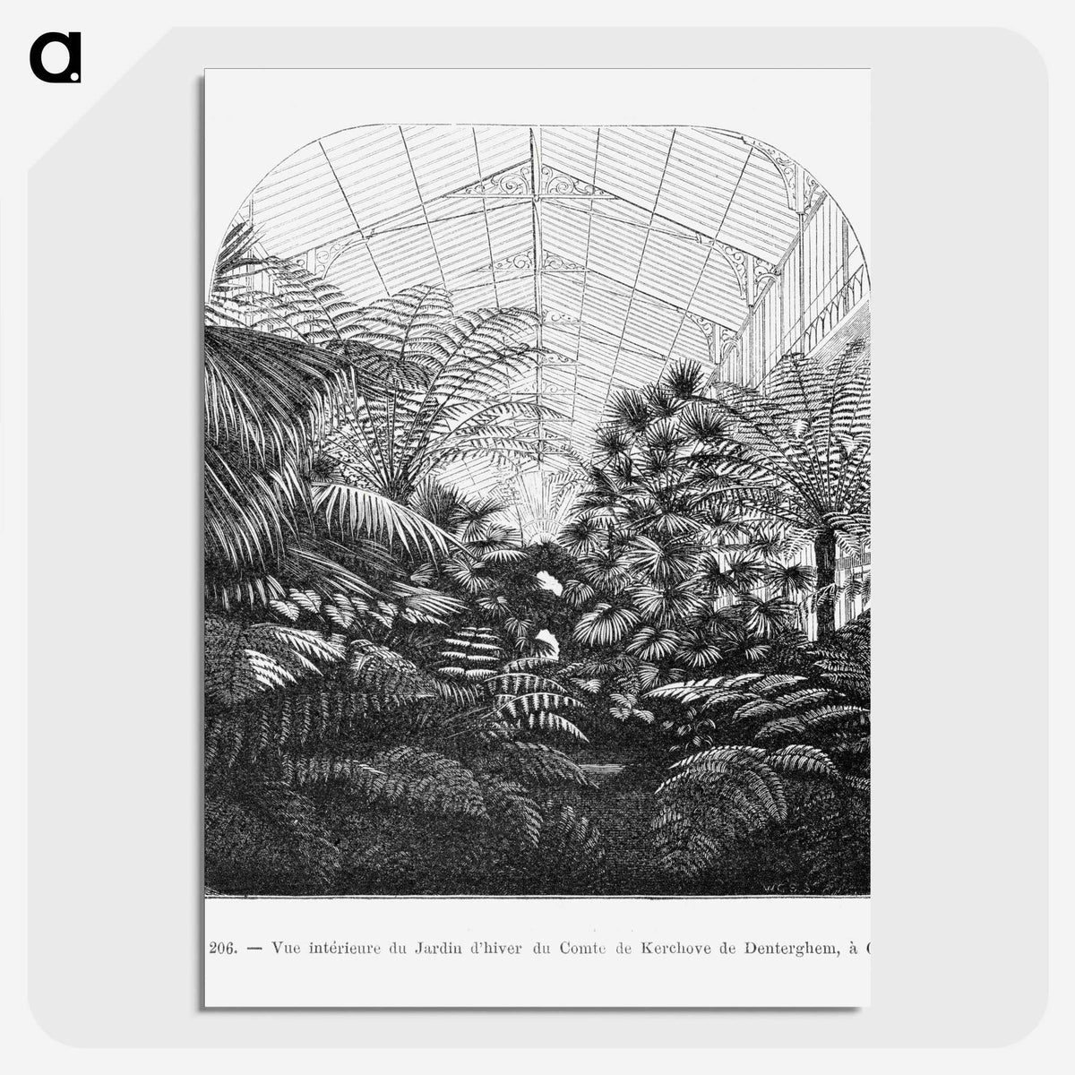 1-54_Les-Palmiers-Histoire-Iconographique_picture-crop