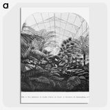1-54_Les-Palmiers-Histoire-Iconographique_picture-crop