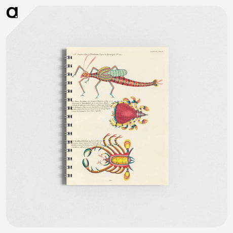 アートメモ帳-Moluccan Marine Life
 - ルイ ルナール Memo.